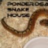 Ponderosa Snake