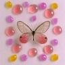 butterflyandbeetles