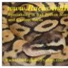 RacksAndReptiles