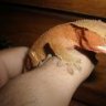 Ralphieeeee