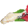 RichsBallPythons
