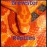 Brewster320