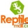 reptiles-mall