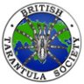 TARANTULAS.com