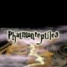 phatmanreptiles