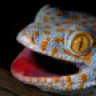 Reptiledysfunction