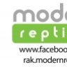 ModernR