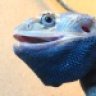 DragonVenom999