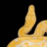 SanJoseReptiles