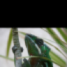 snipeusa14