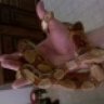 snakehandler777