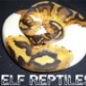 ElfReptiles