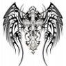 PTDragons