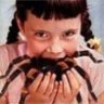 NETBUG