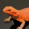 JoshsDragonz