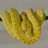 geckojustin