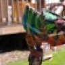 TKO_Reptiles