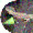 bunyip