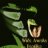 wideawakereptiles