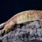 JELReptiles