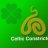 Celtic Constrictors