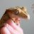 Savages Geckos