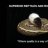 SUPERIOR REPTILES