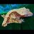j2reptiles