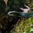 Spheagle