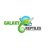 GalaxyReptiles