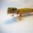 SouthernStyle Geckos