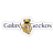 Galaxy13Gecko