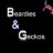 xbeardies-geckosx