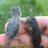 Reptileme