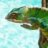 BrightsideExotics777