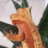 Grippin Geckos Canada
