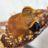 Reptiles4TW
