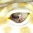 motherofgeckos