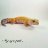 age.of.reptiles