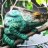 One World Exotica