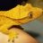 Reptillian153t