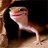 hobbestheleo