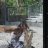 AnimalHandler3