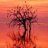 Salton Sea