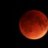 BloodMoonDragons