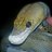 Hell_Creek_Reptile_Lab