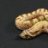 danielrinckeyreptiles