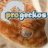 progeckos