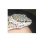 geckomom