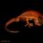 Gecko_Galaxy